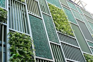Facade of building with plants on 