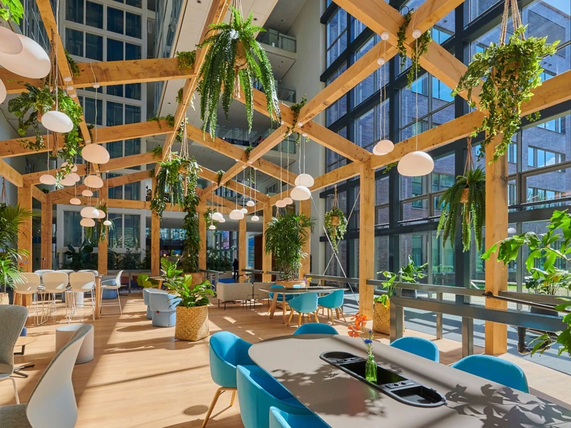 Image of bright plant filled office space with blue chairs and glass windows which allow sun to shine through.