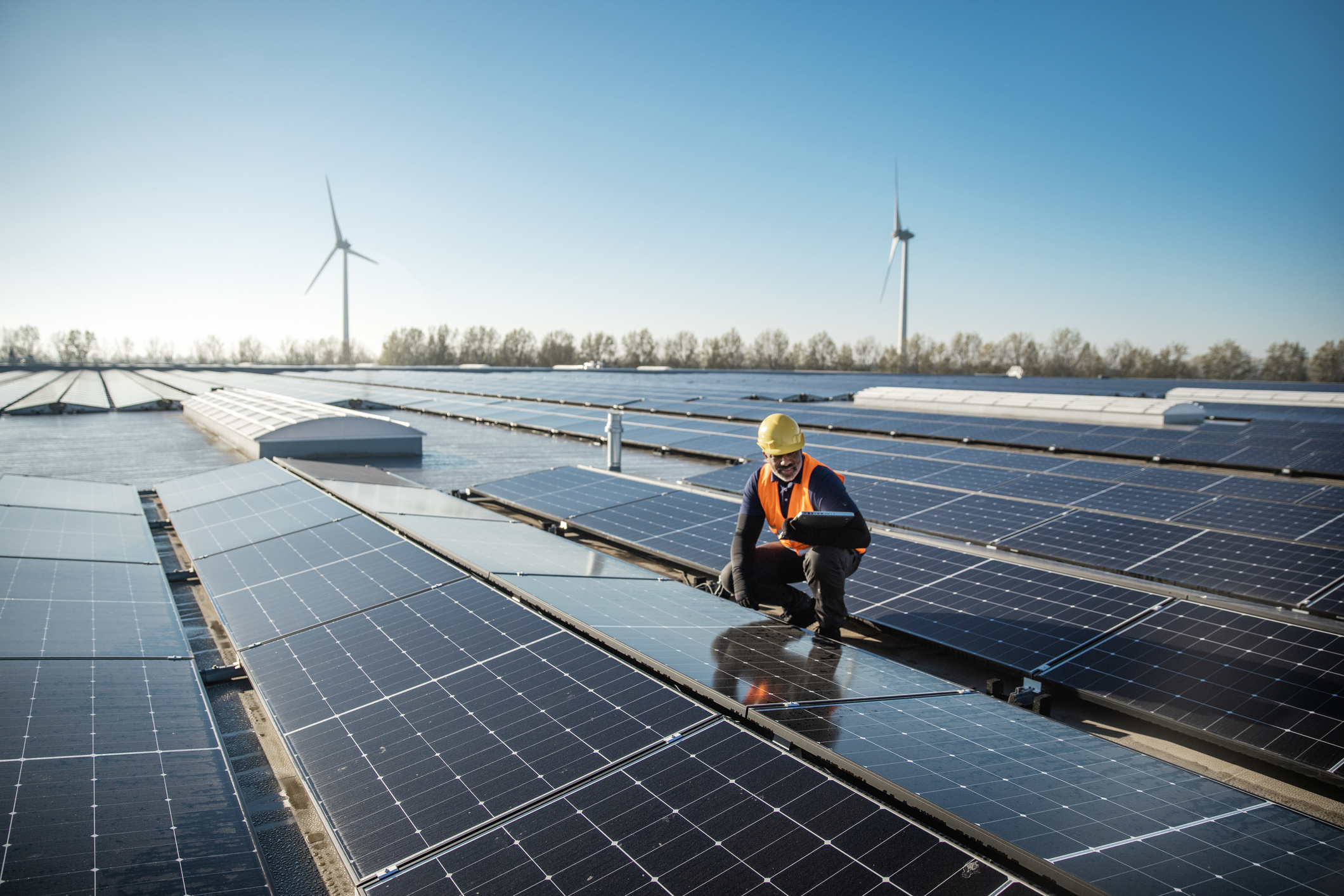 Is a dual FEED project execution the best strategy for low-carbon projects?