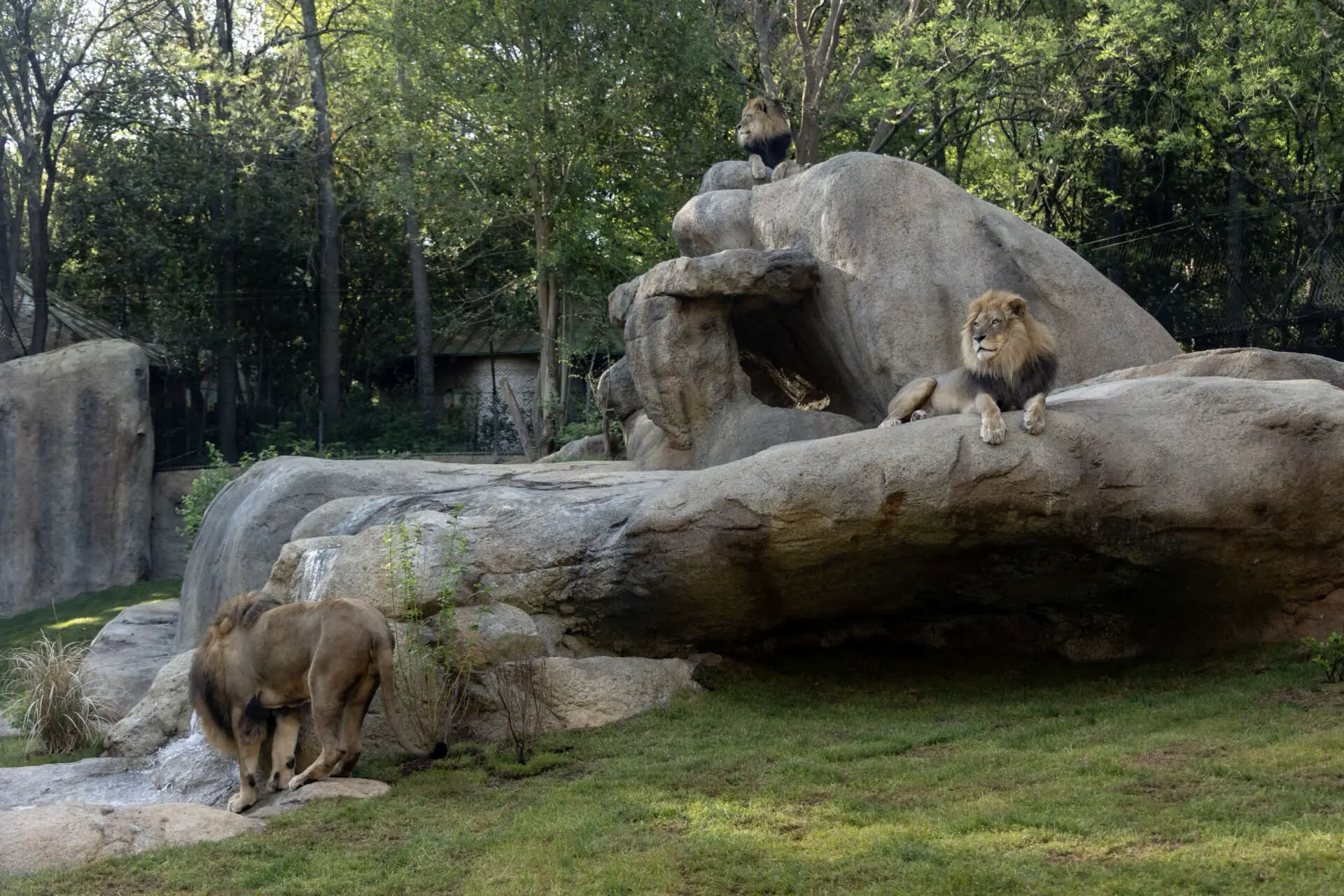 Zoo Atlanta