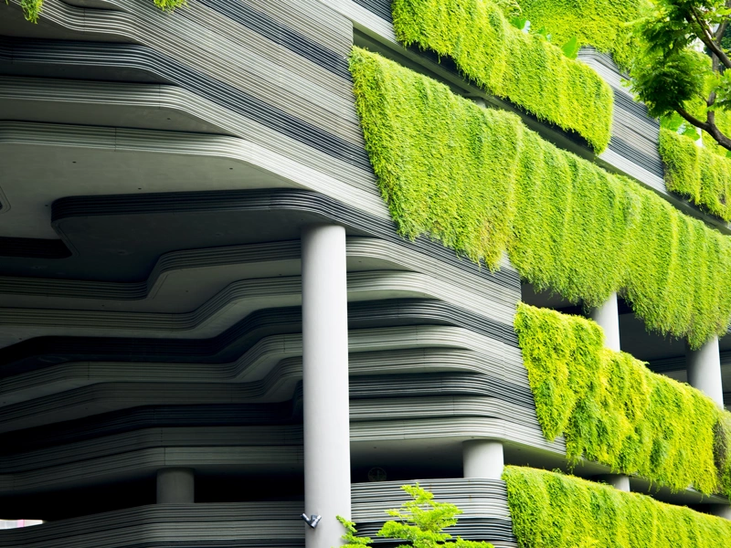 View of greenery, a wall of green plants and hedges