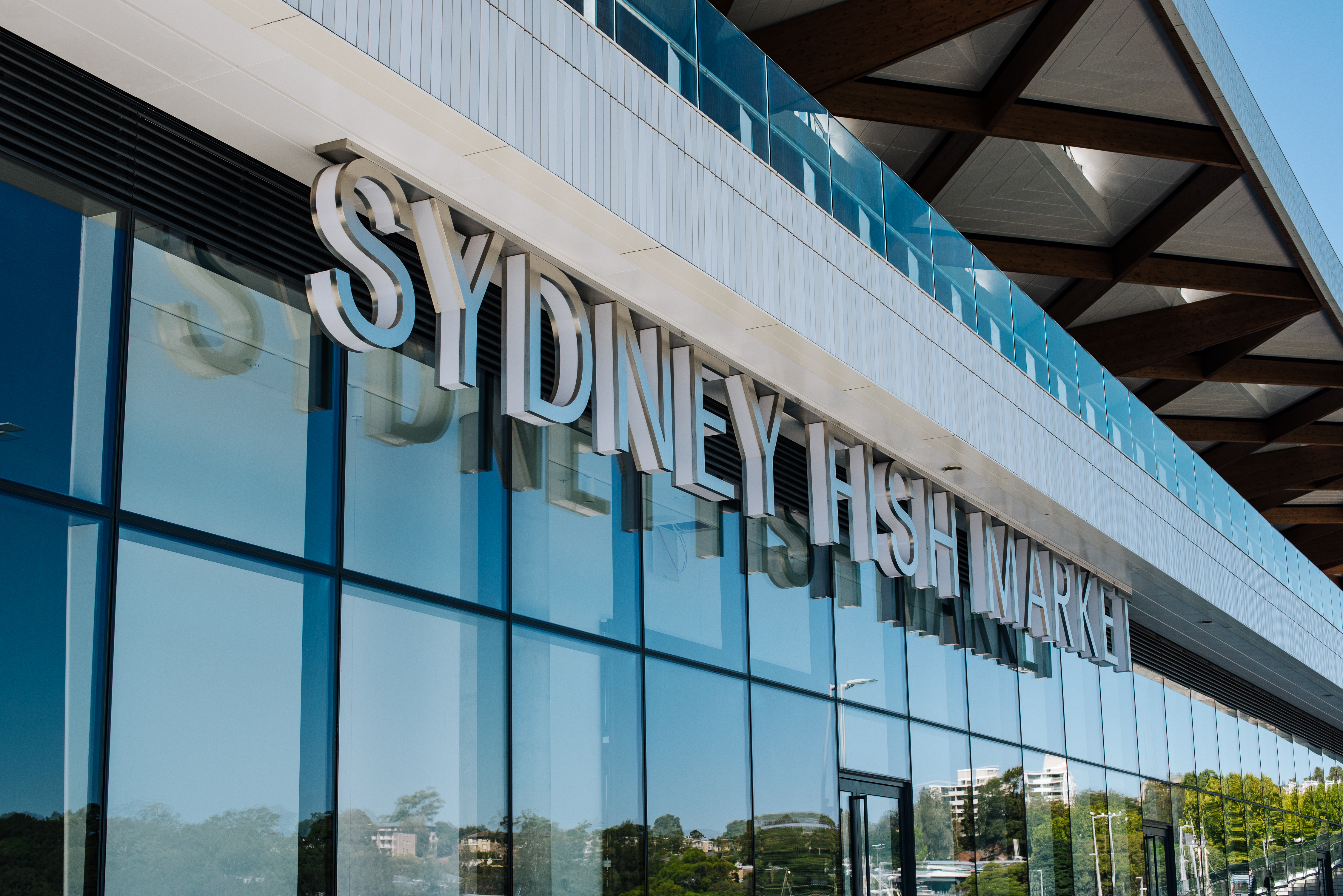 Sydney Fish Market (6)