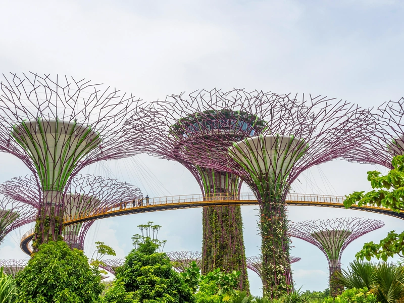 Displaying Singapore's Gardens by the bay
