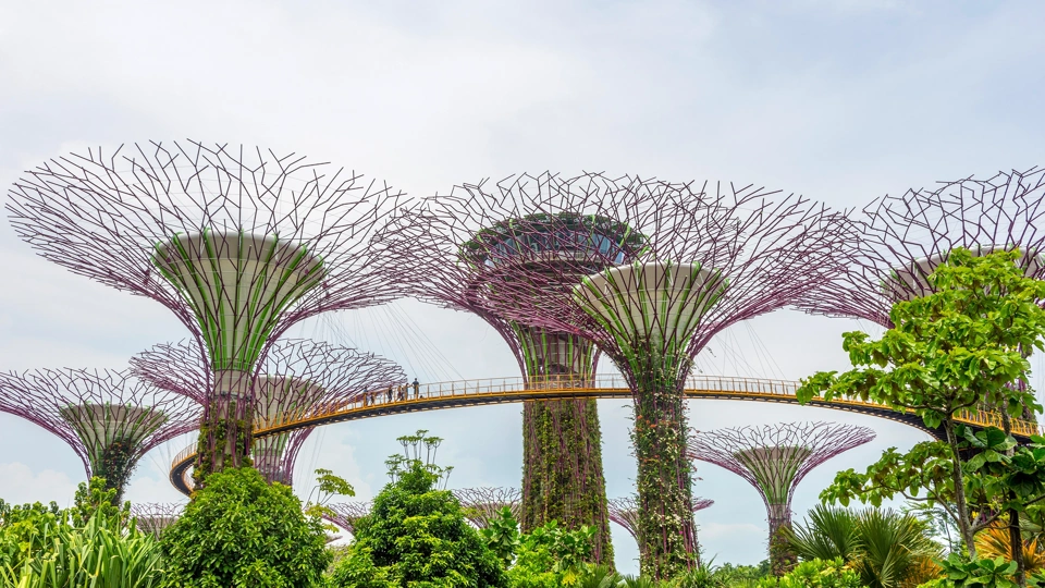 Displaying Singapore's Gardens by the bay