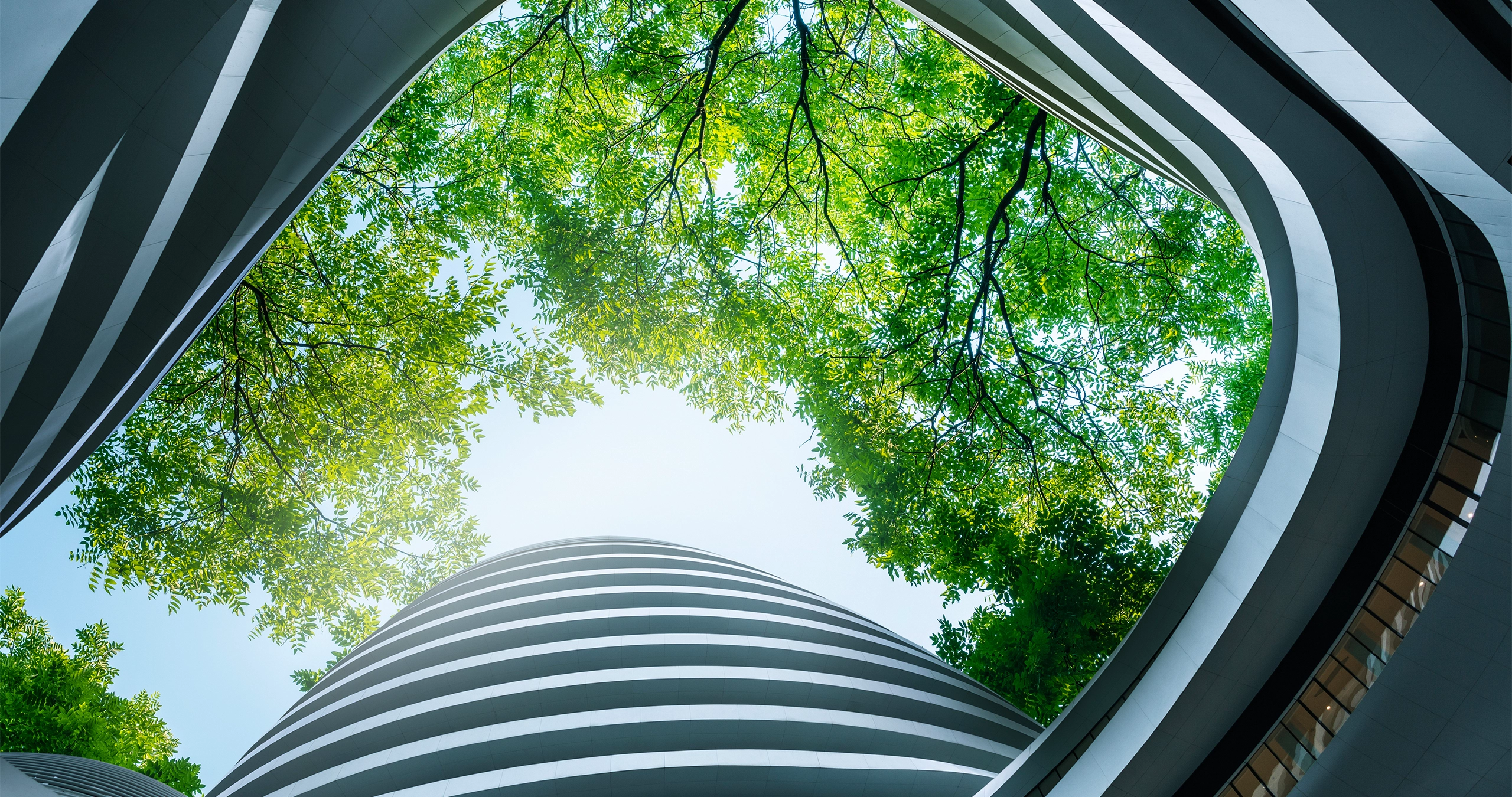 Green building concept