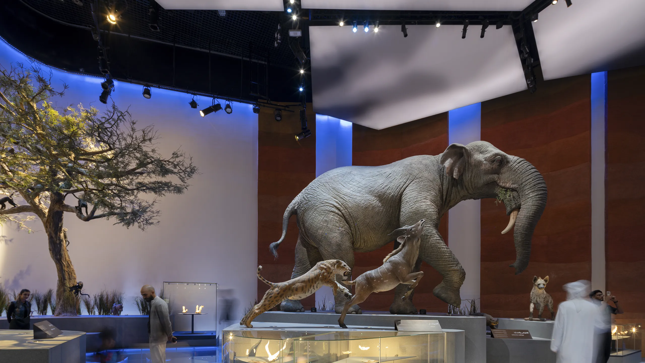 Abu Dhabi Natural History Musem