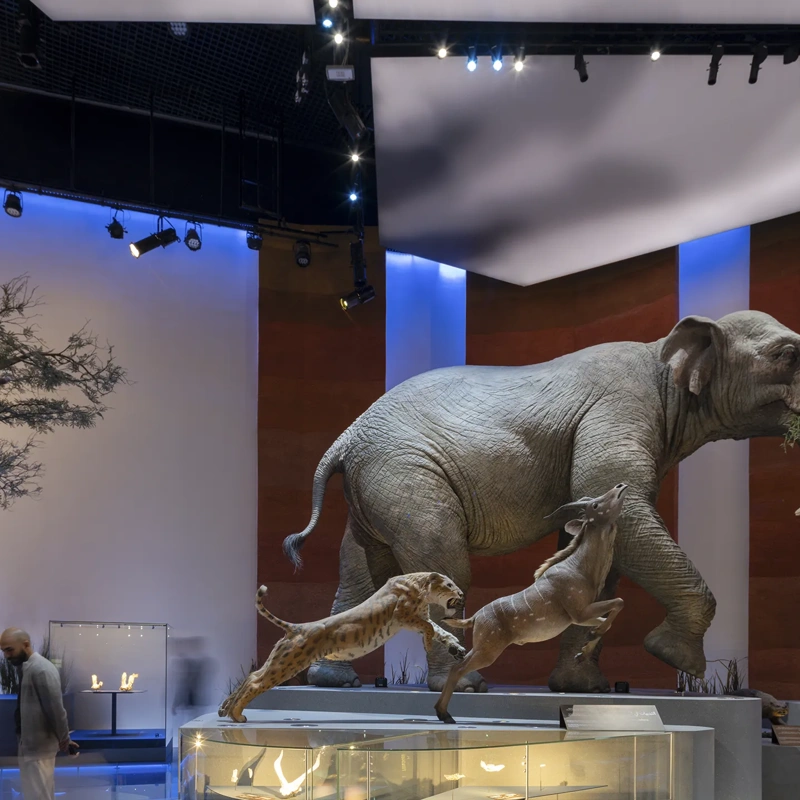 Abu Dhabi Natural History Musem