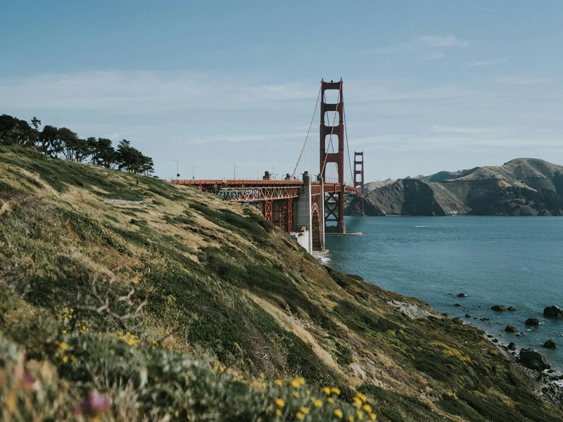 Beautiful view of bay bridge between San Francisco and California, with greenery surrounding it.