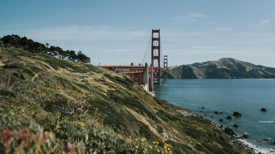 Beautiful view of bay bridge between San Francisco and California, with greenery surrounding it.