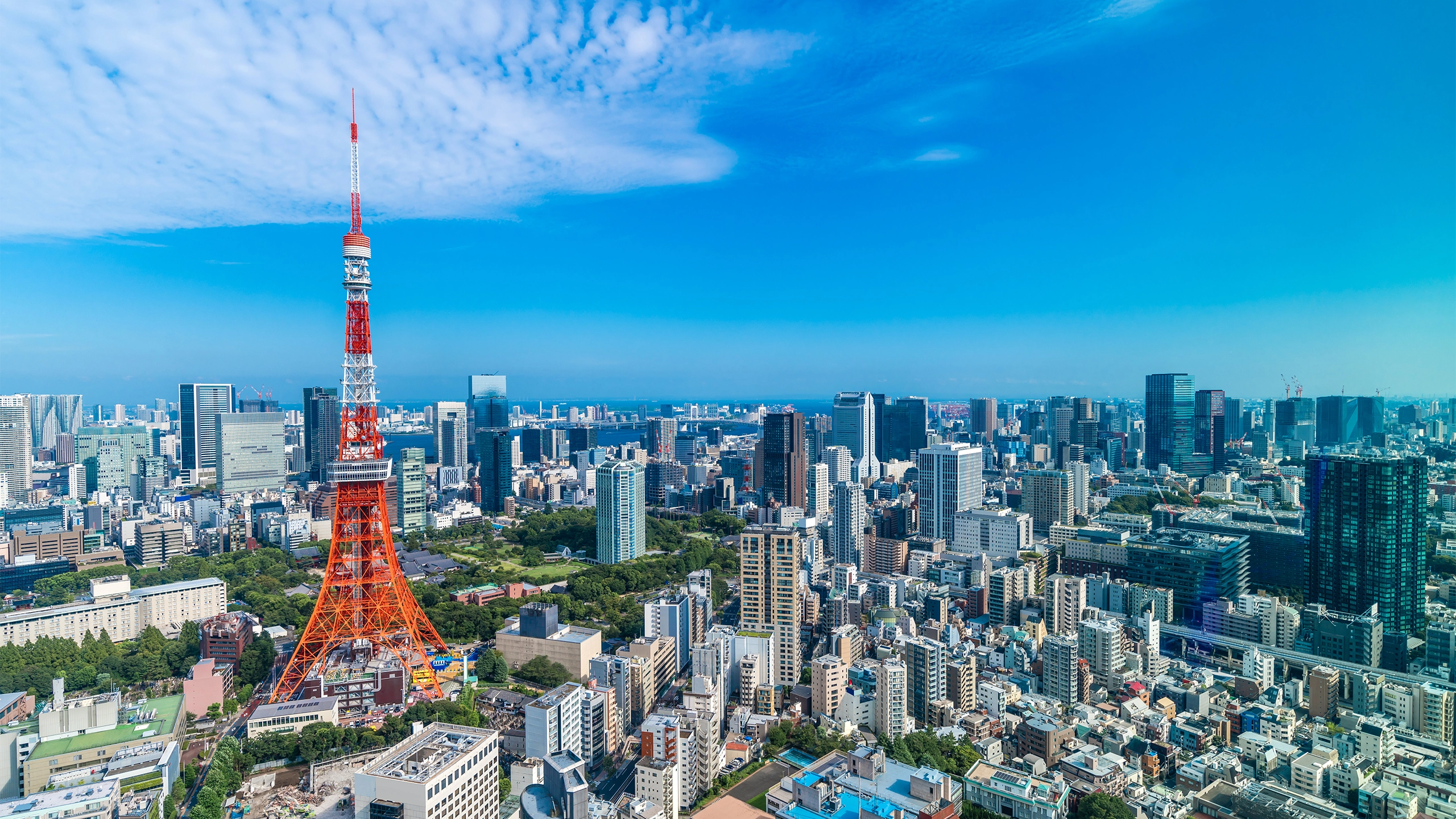 View of Tokyo with a clear blue sky