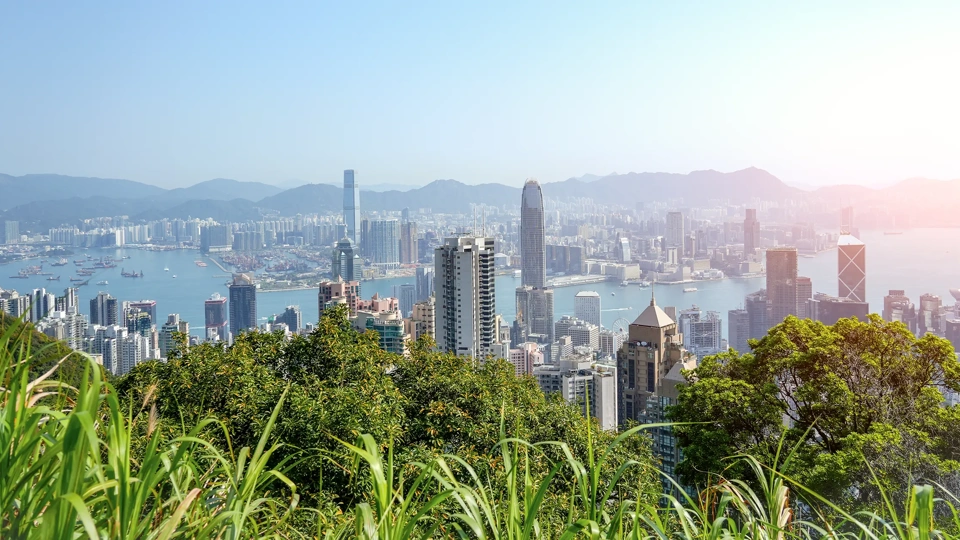 Wonderful panoramic of Hong Kong city view from Victoria Peak, modern cityscape sunny day green foliage plants leaves.