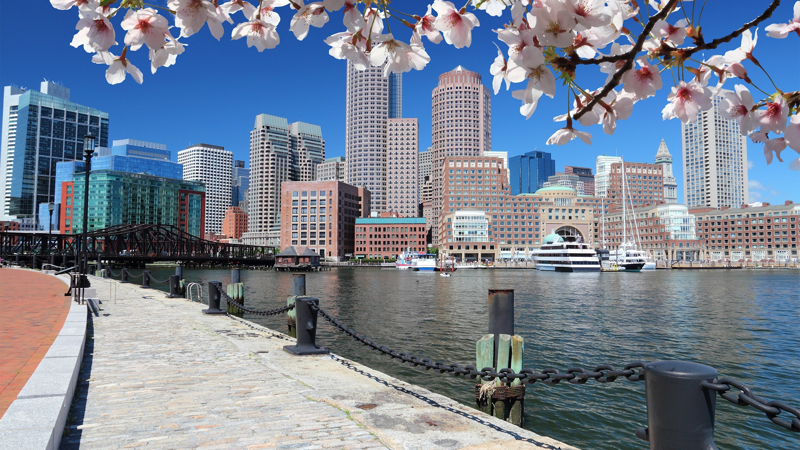 Skyscrapers beside water with a branch of pink flowers overhanging