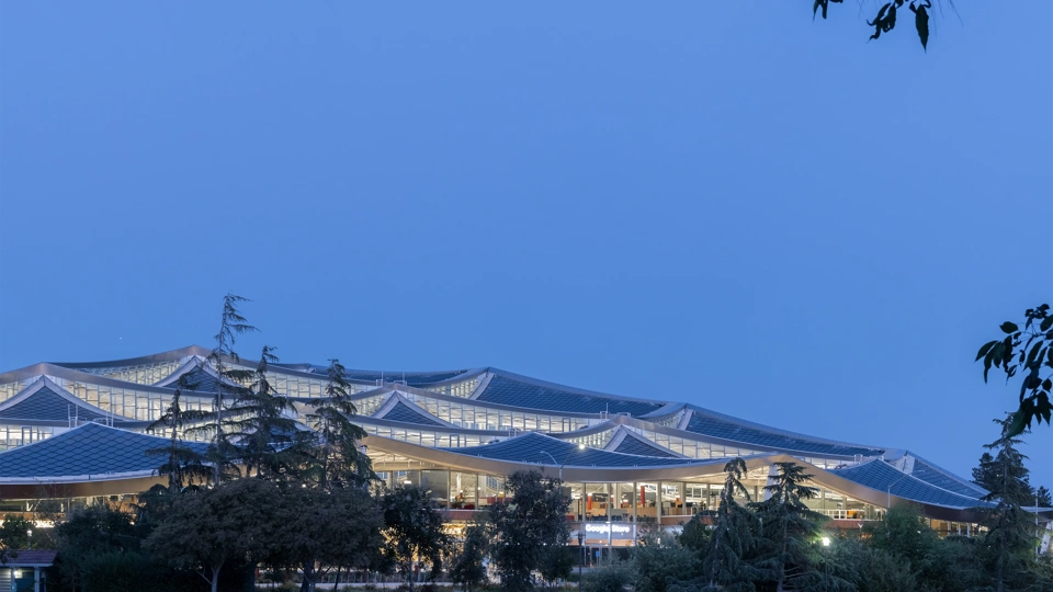 Nightime exterior photo of Google's Gradient Canopy office in Silicon Valley, California, with trees in the foreground and the office building in the background