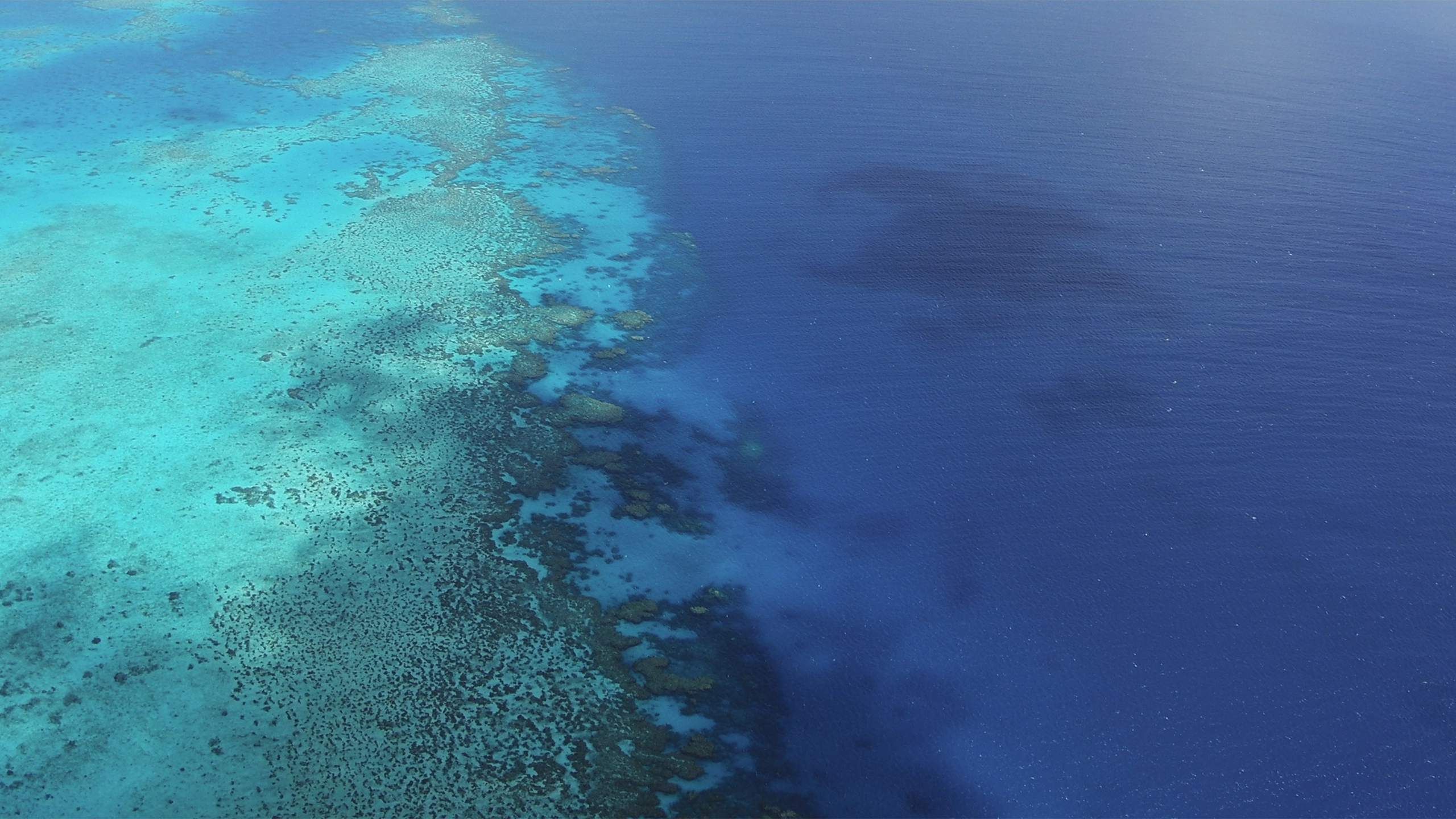Turquoise and azure blue sea