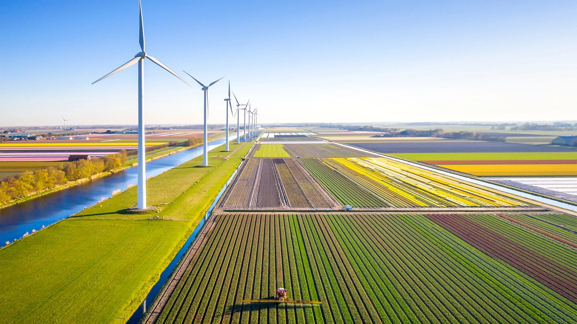 Expansive agricultural scenery beside a row of wind tubrines along a canal