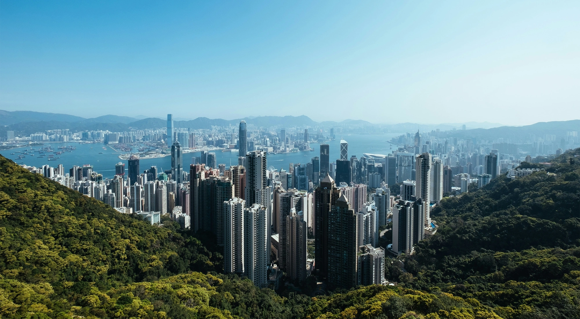 Hong Kong skyline of skyscraper buildings