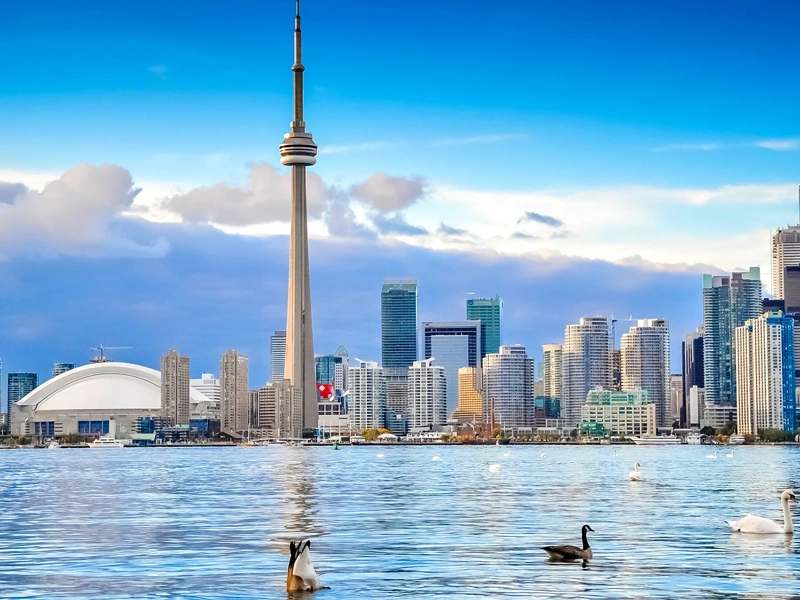 Toronto skyline viewed from across lake Ontario, featuring the CN tower prominently in the centre, with the Rogers centre dome visible to the left.