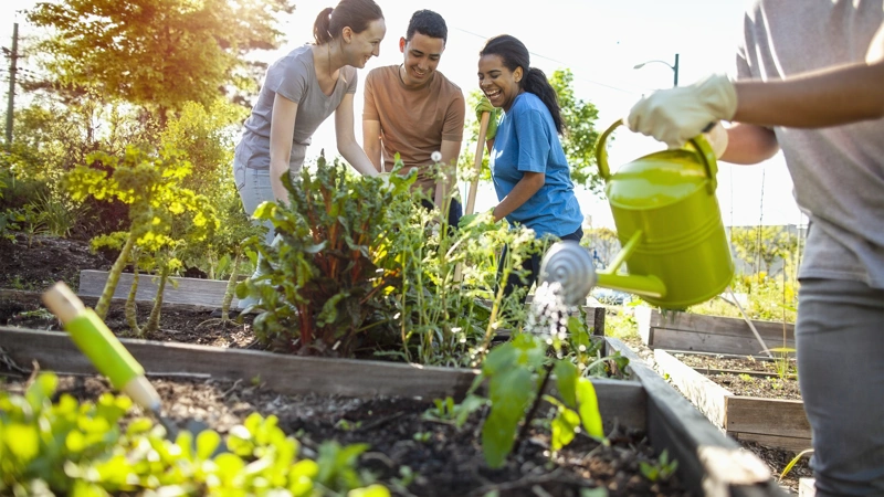 People gardening in the sunshine