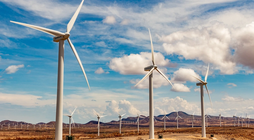 Windmills of the first row, and a few of a second row are visible in a large wind farm