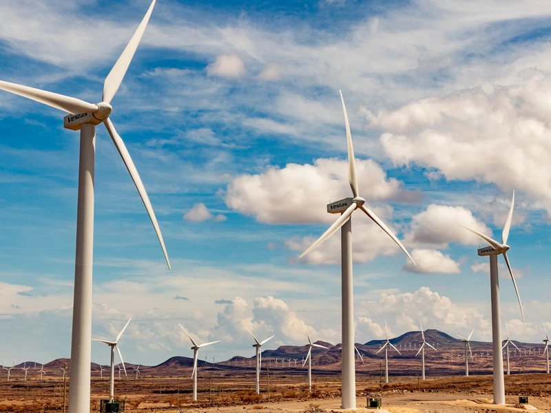 Windmills of the first row, and a few of a second row are visible in a large wind farm