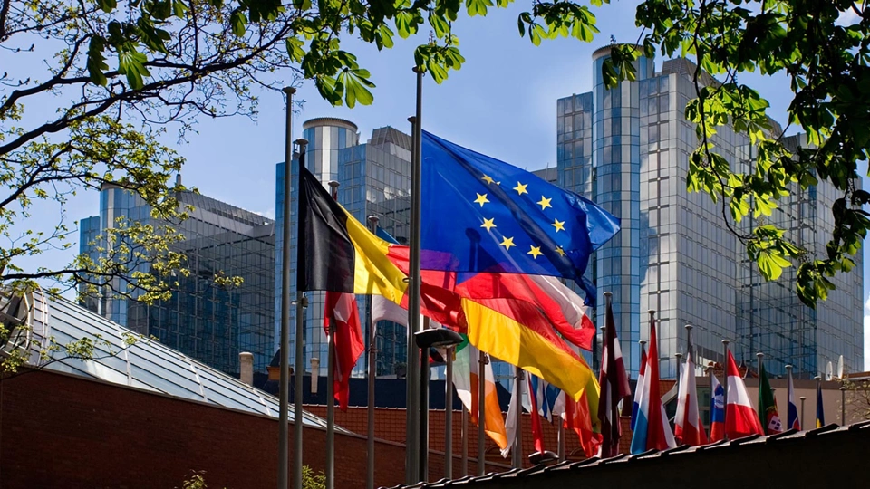 The European union flag with the flags in the European union behind it in a line