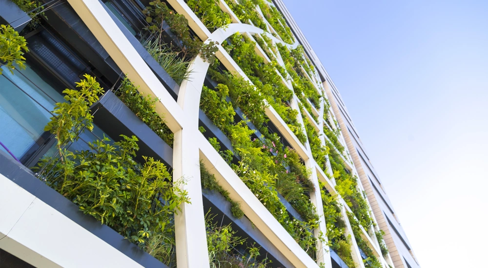 Exterior of tall building with green foliage