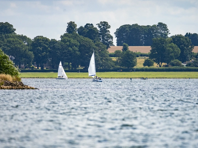 Rutland Water reservoir, views over the water towards agricultural fields, with sailing boats racing,