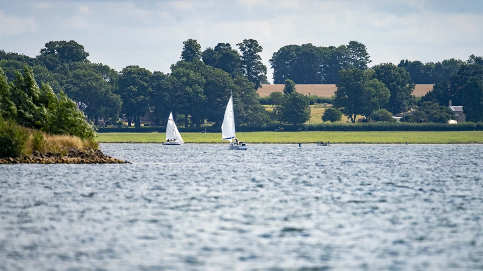 Rutland Water reservoir, views over the water towards agricultural fields, with sailing boats racing,