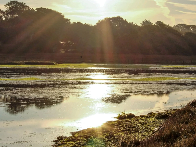 River Hamble