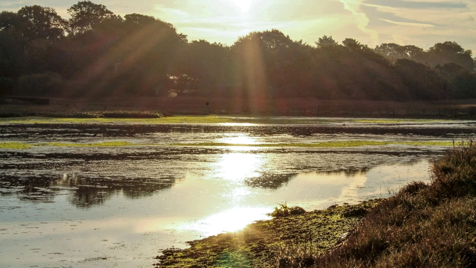 River Hamble