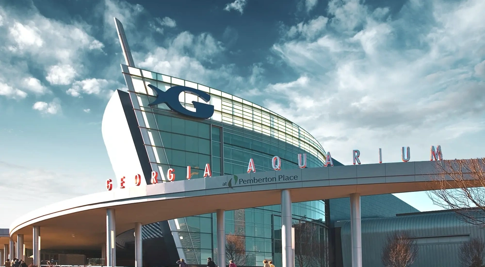 Bringing America's Largest Aquarium To Life At Georgia Aquarium