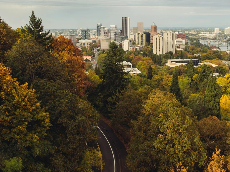 Colourful green brown and orange trees with tall city buildings alongside it