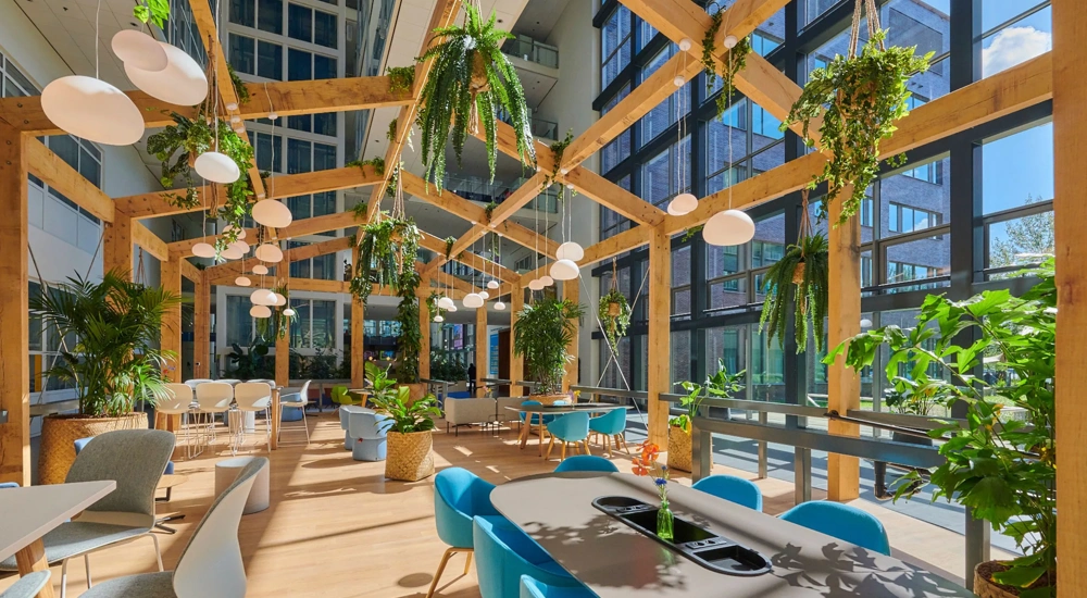 Image of bright plant filled office space with blue chairs and glass windows which allow sun to shine through.