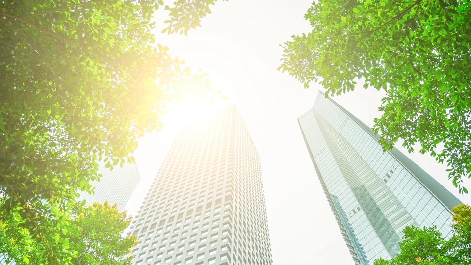 Two skyscrapers against bright sky with green trees either side