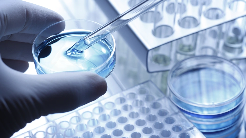 Petri dish and test tubes